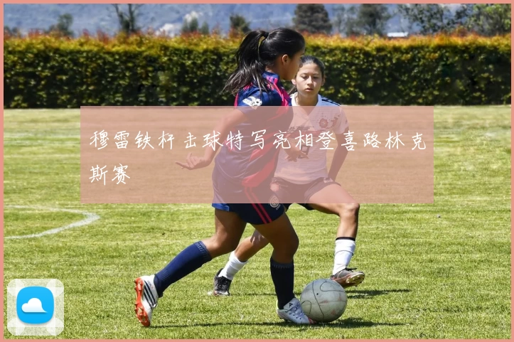 穆雷铁杆击球特写亮相登喜路林克斯赛