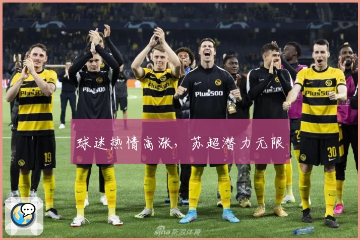 球迷热情高涨，苏超潜力无限