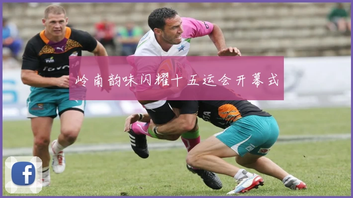 岭南韵味闪耀十五运会开幕式